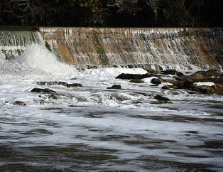 İhbar yağdı, yetkililer harekete geçti