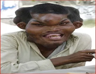 Görenler gözlerine inanamıyor