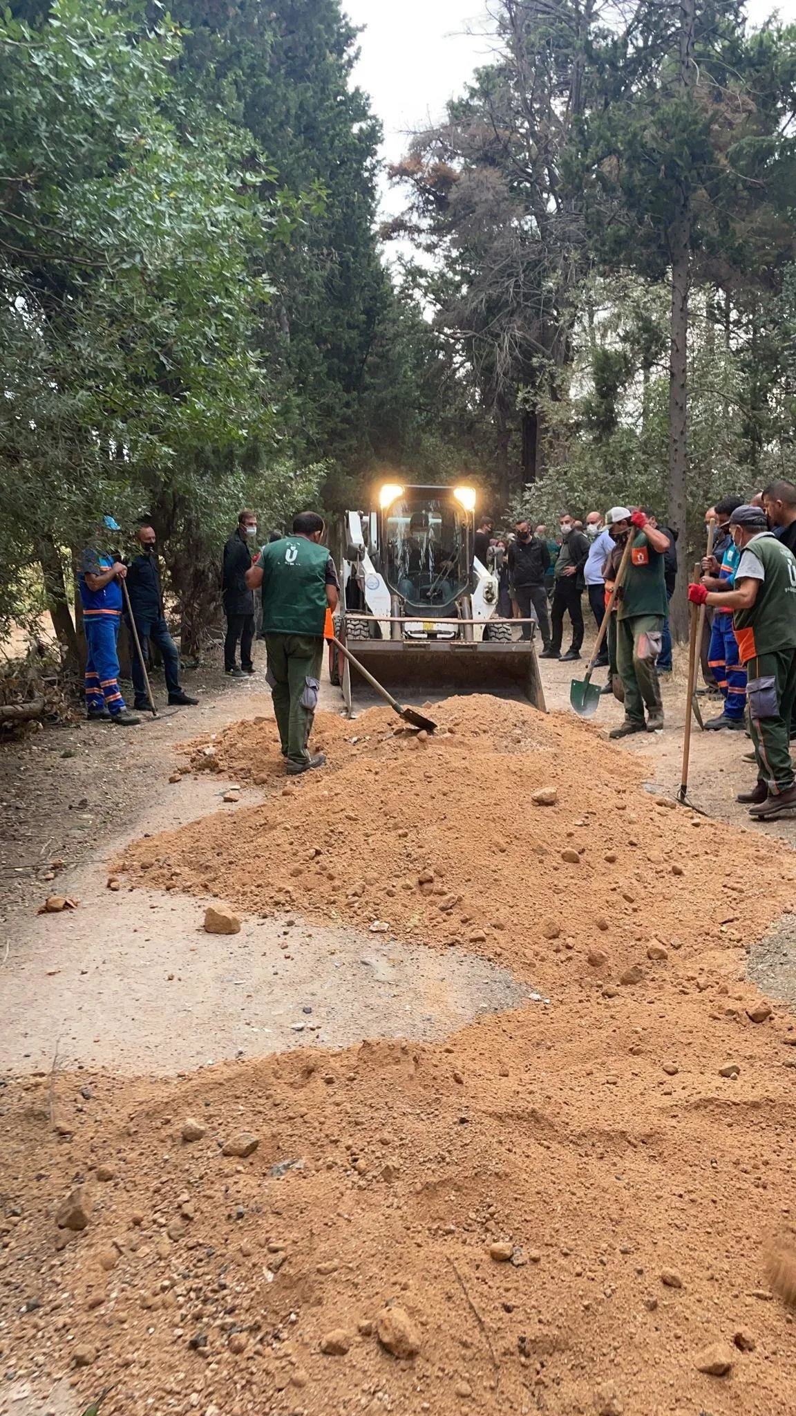 Fondaş medyadan Validebağ Korusu üzerinden algı operasyonu! Belediye çalışmasını "baskın" diye duyurdular
