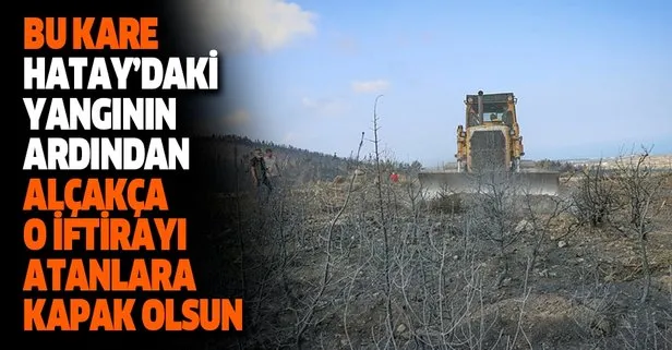 Hatay'daki orman yangınlarının ardından harekete geçildi