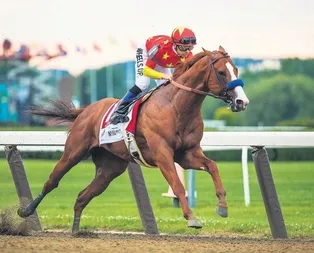 Işın Karaca ile evliliğini bitiren Tuğrul Odabaş satışa çıkardığı yarış atının fiyatını indirdi