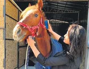 Sincan’da parklara kadın eli değdi