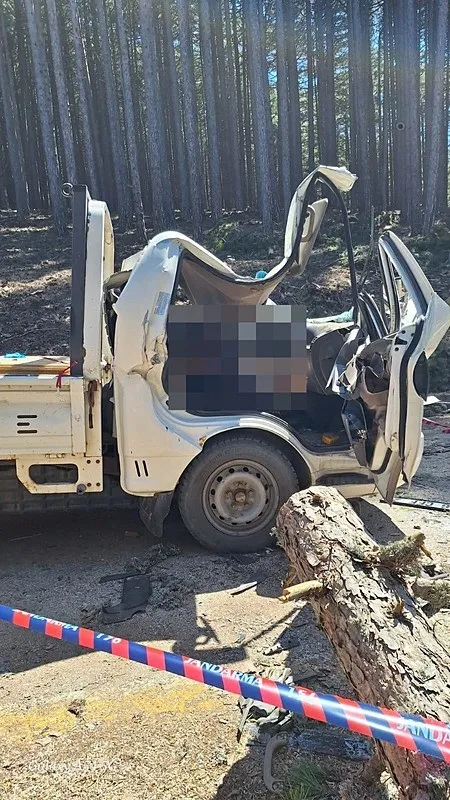 bursada-kesilen-agac-kamyonetin-uzerine-devrildi-surucu-temel-kurt-hayatini-kaybetti-1777465439263.jpeg Bursa'da kesilen ağaç kamyonetin üzerine devrildi: Sürücü Temel Kurt hayatını kaybetti-3