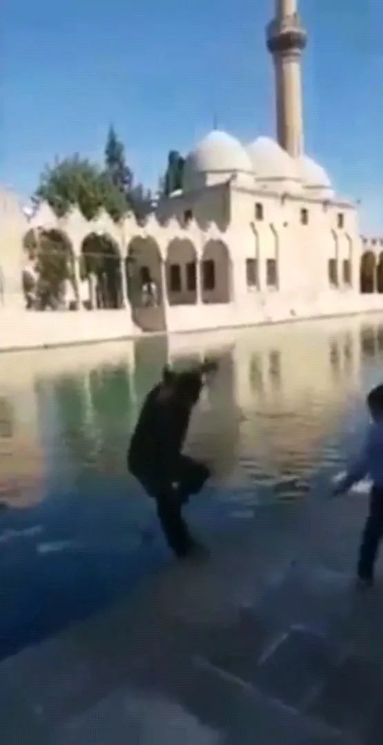 Talihsiz olay! Canlı yayın yaparken Balıklıgöl'e düştü-3