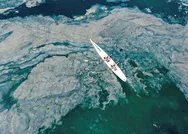 Marmarada müsilaj seferberliğinde flaş gelişme! Balık avı yasaklanacak mı?