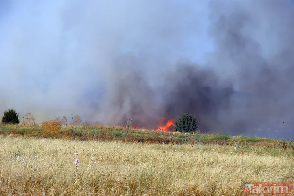 Uşak Havalimanı içerisindeki otluk alanda yangın: Olay yerinden görüntüler - 9