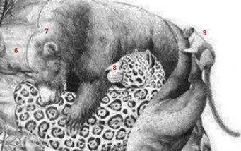 resimdeki-16-hayvani-bulduysan-hafizan-zehir-gibi-cikiyor-1713962481189.jpg Resimdeki 16 hayvanı bulduysan hafızan zehir gibi çıkıyor-6