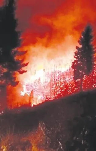 Karadeniz'de 76 ayrı noktada yangın çıktı