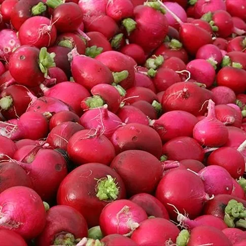 Turp gibi güçlü olun