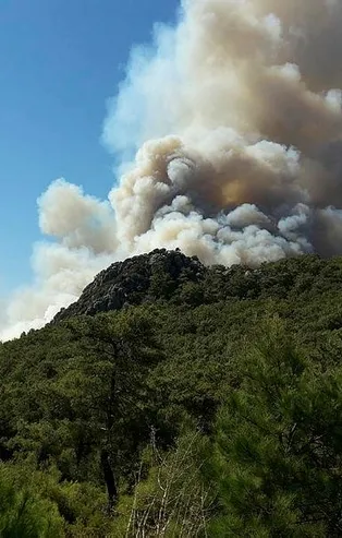 Antalya Kumluca'da korkutan yangın!