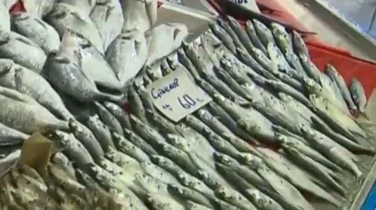 balik-fiyatlari-ne-kadar-oldu-guncel-balik-fiyatlari-2021-levrek-hamsi-istavrit-somon-mezgit-cinekop-cupra-alabalik-1638502774858.jpg Balık fiyatları ne kadar oldu? Güncel balık fiyatları 2021 Levrek, hamsi, istavrit, somon, mezgit, çinekop, çupra, alabalık...-6