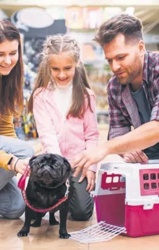 Kasaplar Federasyonu Başkanı petshopların Kasaplar Odası’na bağlanması ile ilgili açıklamalarda bulundu