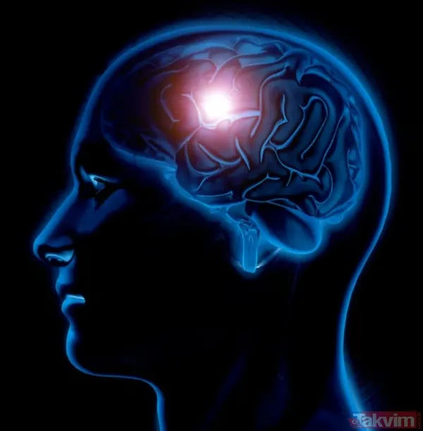 Doğal Ozempic etkisi: Chia tohumu beyindeki iştah reseptörlerine bağlanarak açlık hissini durduruyor - 3