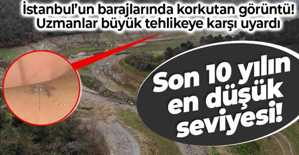 SON DAKİKA: Elmalı Barajı'nda korkutan görüntü: Son 10 yılın en düşük seviyesi! Uzmanlar 'sivrisinek' tehlikesine karşı uyardı