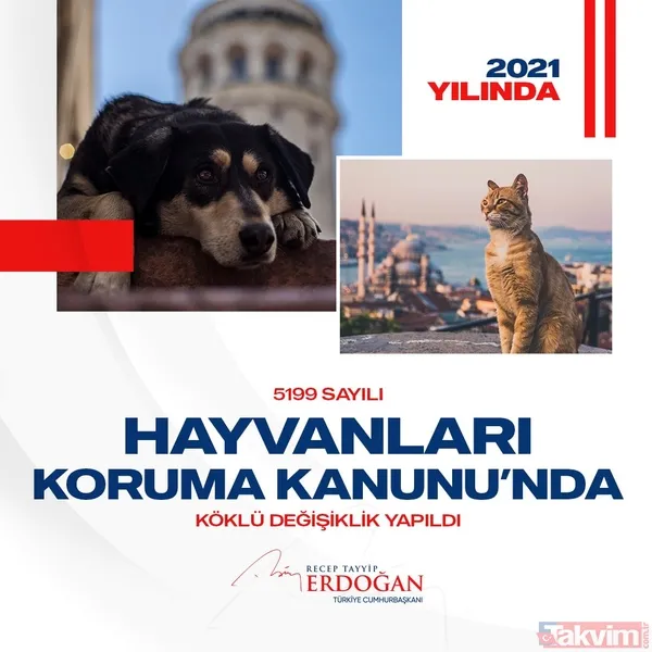 SON DAKİKA: Başkan Recep Tayyip Erdoğan'ın 2021 yılında imza attığı projeler - 13