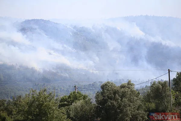 Bodrum'da orman yangını! "2024 yılının en ciddi yangınlarındandı" Kontrol altına alındı - 2
