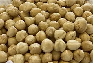 Gençlik fındıkta saklı