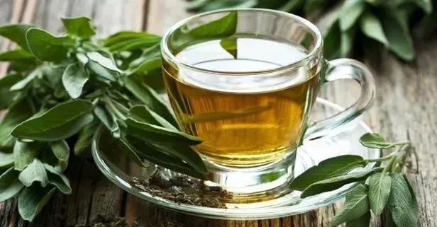 Gribe karşı adaçayı