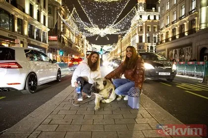 Londra sokaklarında gezen Anadolu çoban köpeği ilgi odağı oldu