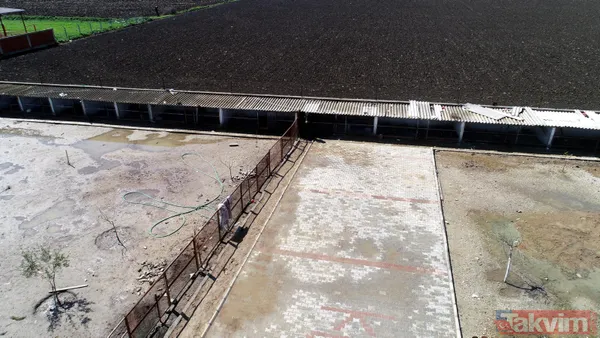 Tanesi 7 TL'ye yumurta! Yere atıldığında bile kolay kolay kırılmıyor - 19