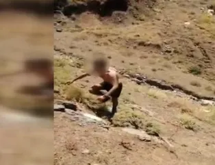 1 terörist teslim oldu