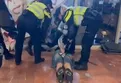 Hollanda polisi 'Gazze'ye destek' eylemine müdahale etti!