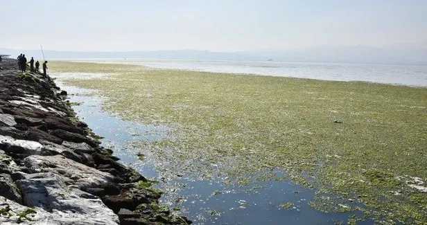 Aziz Kocaoğlu, İzmir'i değil Körfez'i yeşil yaptı-1