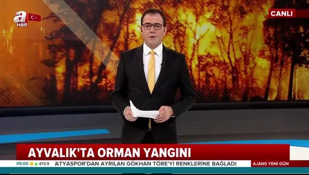Balıkesir Ayvalık'taki orman yangını kontrol altında!