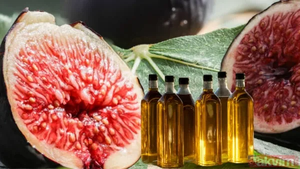 Nefes darlığına asırlık çözüm: İbn-i Sina’nın 2 malzemeli şifa tarifi - 1