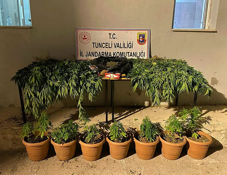 Tunceli’de uyuşturucu operasyonu!