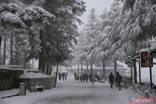 İstanbul'da 5 ilçede eğitime ara! Valilikler peş peşe açıkladı: Şehir şehir kar tatili raporu - 34