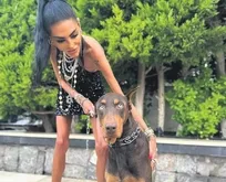 Sosyetenin güzeli kolları sıvadı: Barınak yaptırıyor!