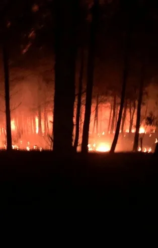 Adana Kozan’da orman yangını! Köylüler ile ekiplerden müdahale