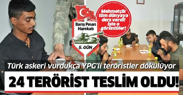 Son dakika: MSB açıkladı: 24 terörist teslim oldu!