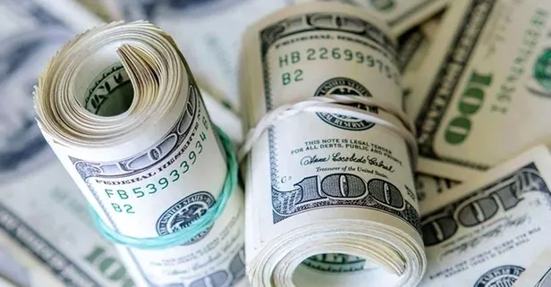 Canli Doviz Kurlari Dolar Kac Tl Euro Bugun Ne Kadar Oldu 2 Agustos Dolar Euro Ve Sterlin Alis Satis Fiyatlari Takvim