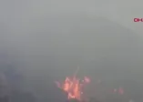 Muğla'da korkutan orman yangını
