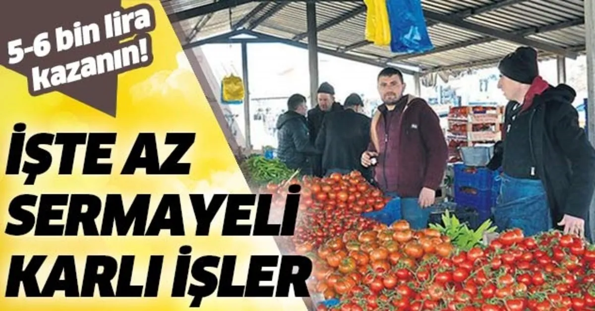 Az Sermayeli Karli Isler Hangileri Iste Dusuk Sermayeli Is Fikirleri Aylik 5 Bin Lira Kazanin Takvim