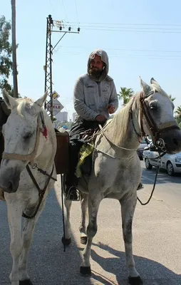 Polonya'dan Kudüs'e at sırtında hac yolculuğu