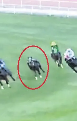 Yarış sırasında attan düşüp yoğun bakımda yaşam mücadelesi veren jokey Samet Erkuş yürümeye başladı