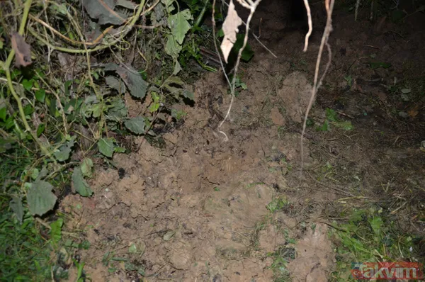 SON DAKİKA: Ordu'da kan donduran olay: Fındık bahçesine gömülü yeni doğmuş bebek cesedi bulundu! 2 kız kardeş gözaltında - 4