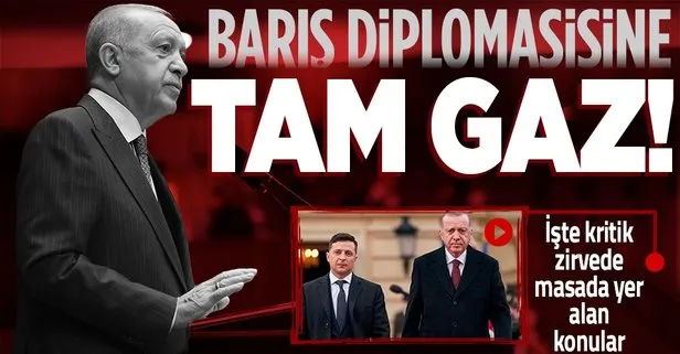 Son dakika: Başkan Erdoğan, Ukrayna Devlet Başkanı Zelenskiy ile görüştü