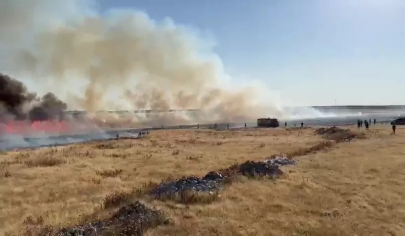 mardin-suriye-sinirinda-hareketli-dakikalar-yasandi-mayinli-bolgede-cikan-yangin-30-donum-bugday-ekili-alani-y-1715893829331.jpg Mardin Suriye sınırında hareketli dakikalar yaşandı! Mayınlı bölgede çıkan yangın 30 dönüm buğday ekili alanı yaktı-3