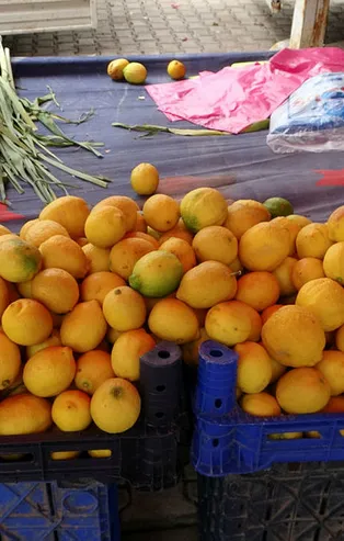 Artık izinsiz ihraç edilemeyecek! Resmi Gazete'de yayımlandı