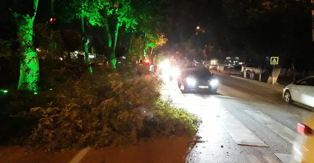 Malatya'da ağaç dalı devrildi, yol kapandı