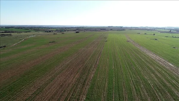 tarim-arazilerinde-yeni-donem-araziyi-isleyene-pozitif-ayrimcilik-1661344213540.jpg Tarım arazilerinde yeni dönem! Araziyi işleyene pozitif ayrımcılık-3