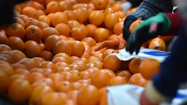 Üretici ve market arasındaki fark yüzde 350’yi buldu!