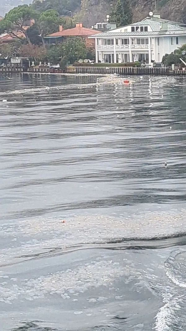 Boğaz’dan içler acısı görüntü! CHP’li İBB müdahale etmeyince kirlilik ayyuka çıktı