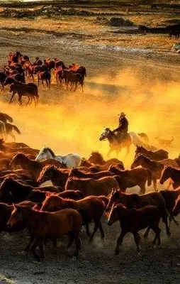 Burası Teksas değil Türkiye