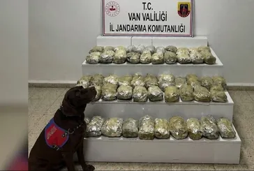 24 ilde uyuşturucu operasyonu