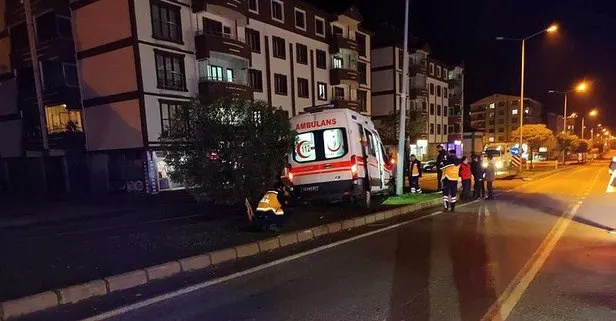 Hasta taşıyan ambulans ağaca çarptı!